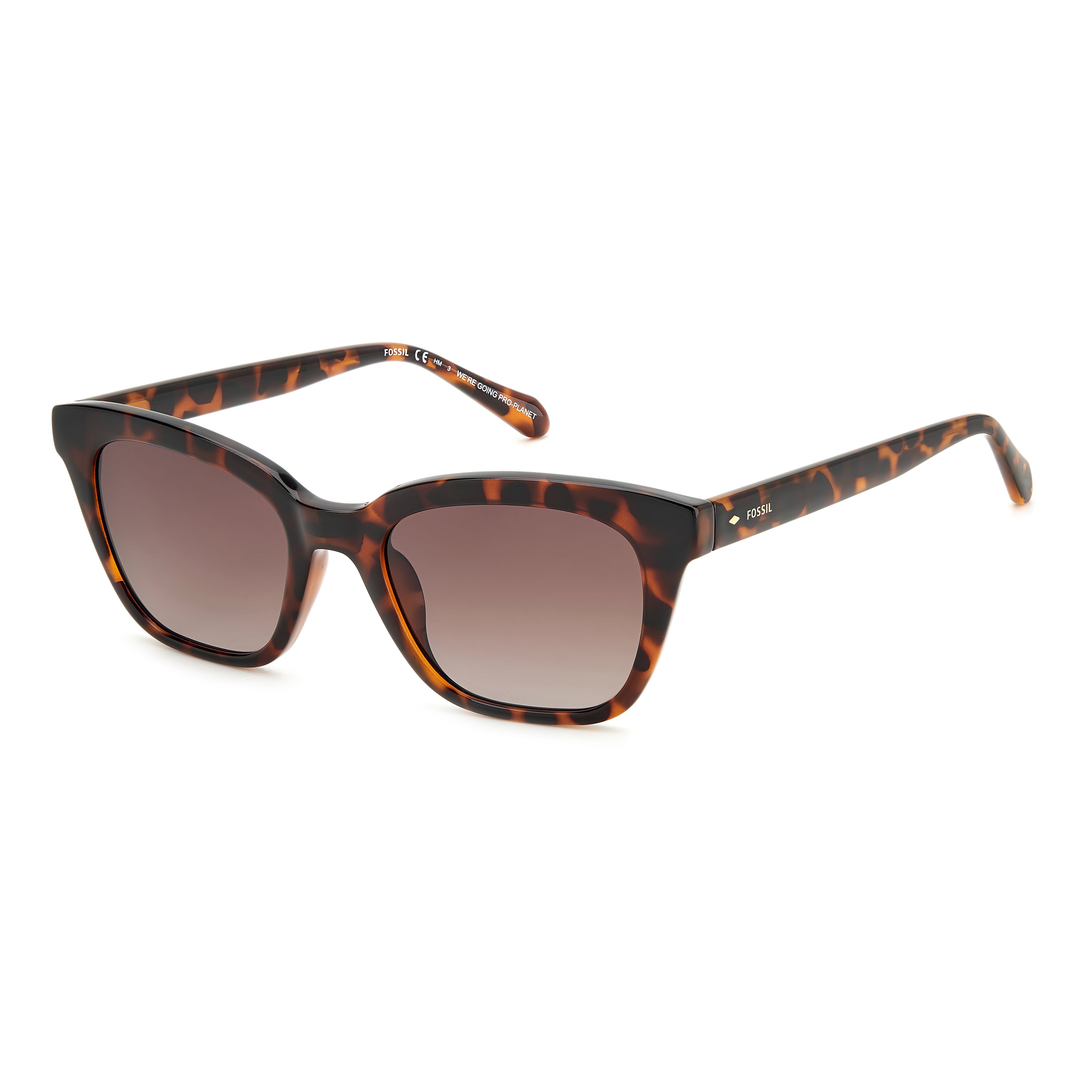 Fernandina Polarized Sunglasses in Rose Gradient | Costa Del Mar®